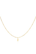 Ketting bliksemschicht Goud kleur Stainless Steel