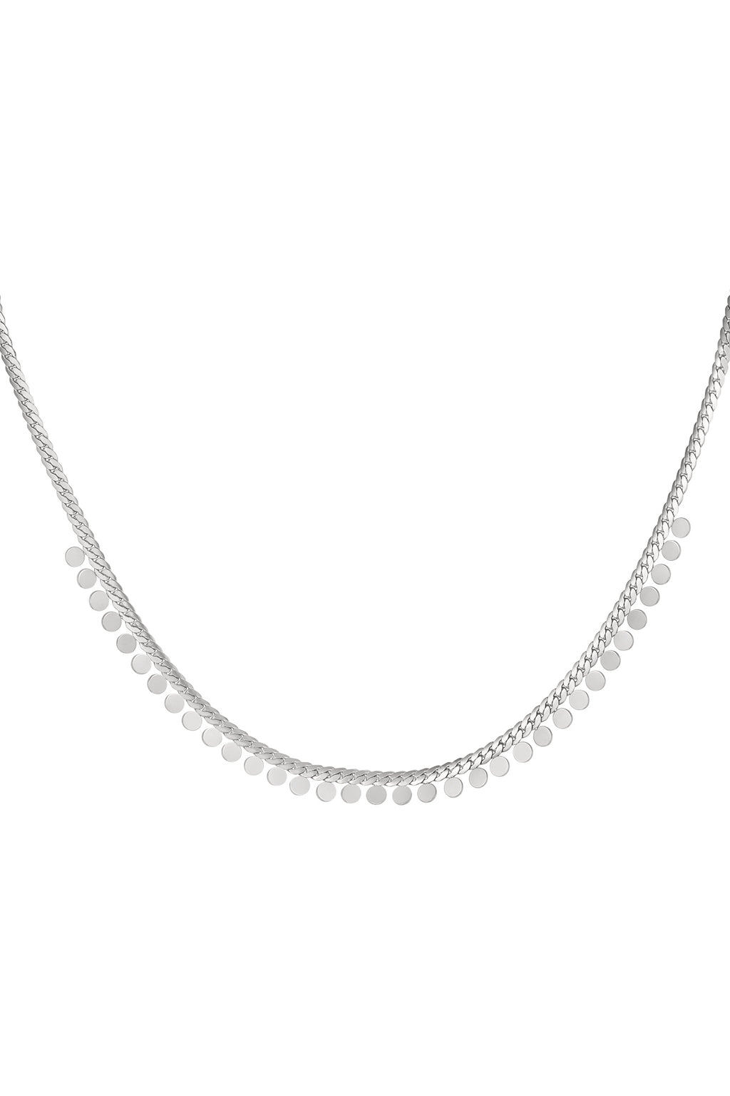 Ketting muntjes - Zilver Stainless Steel