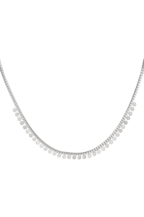 Ketting muntjes - Zilver Stainless Steel