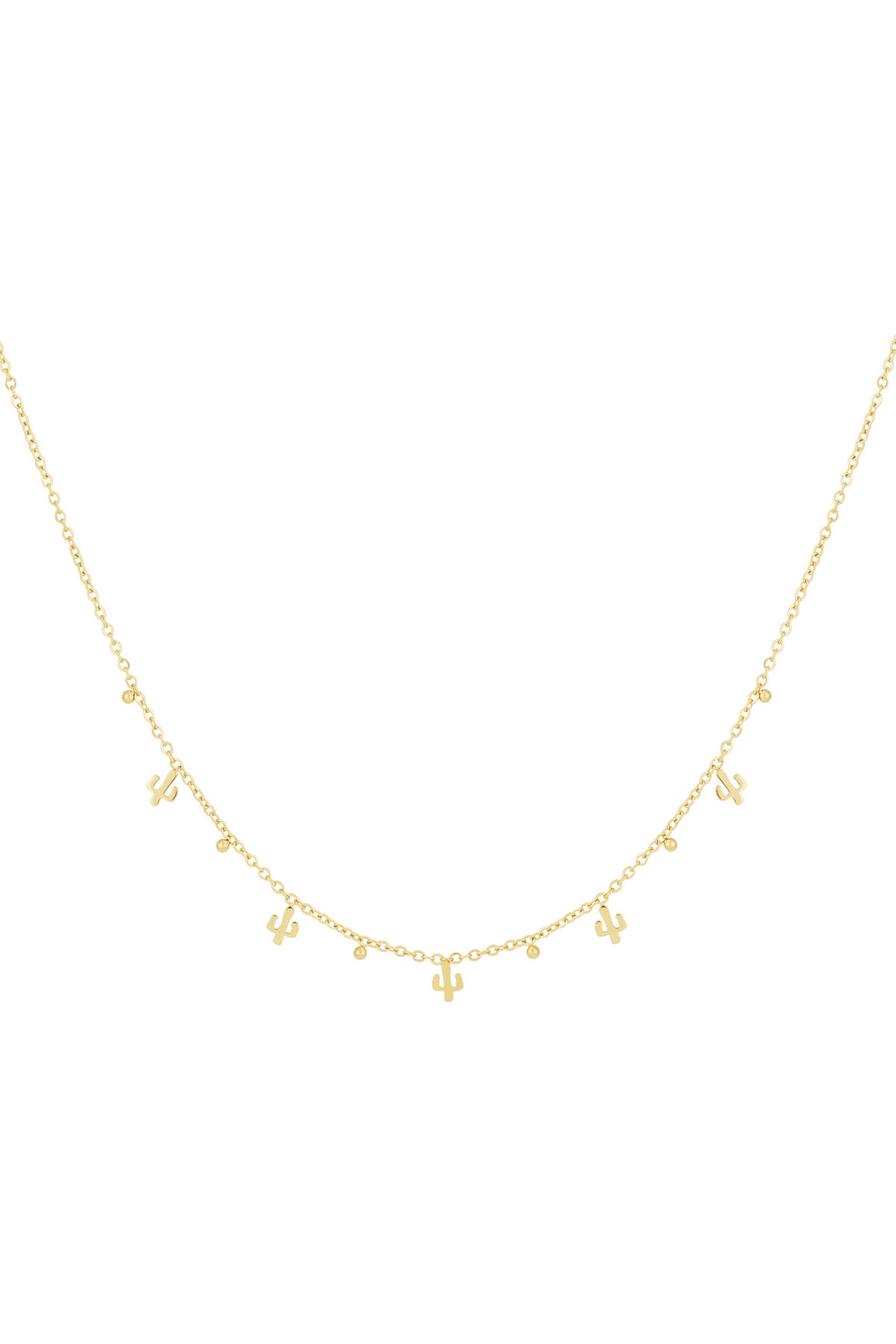 desert ketting