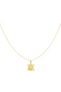 turtle tides ketting