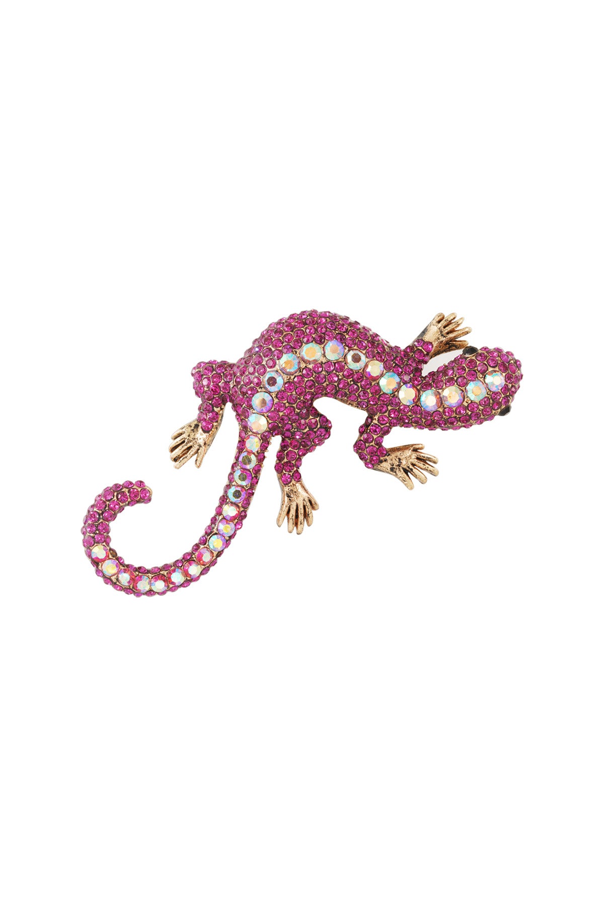 Salamander Brooche