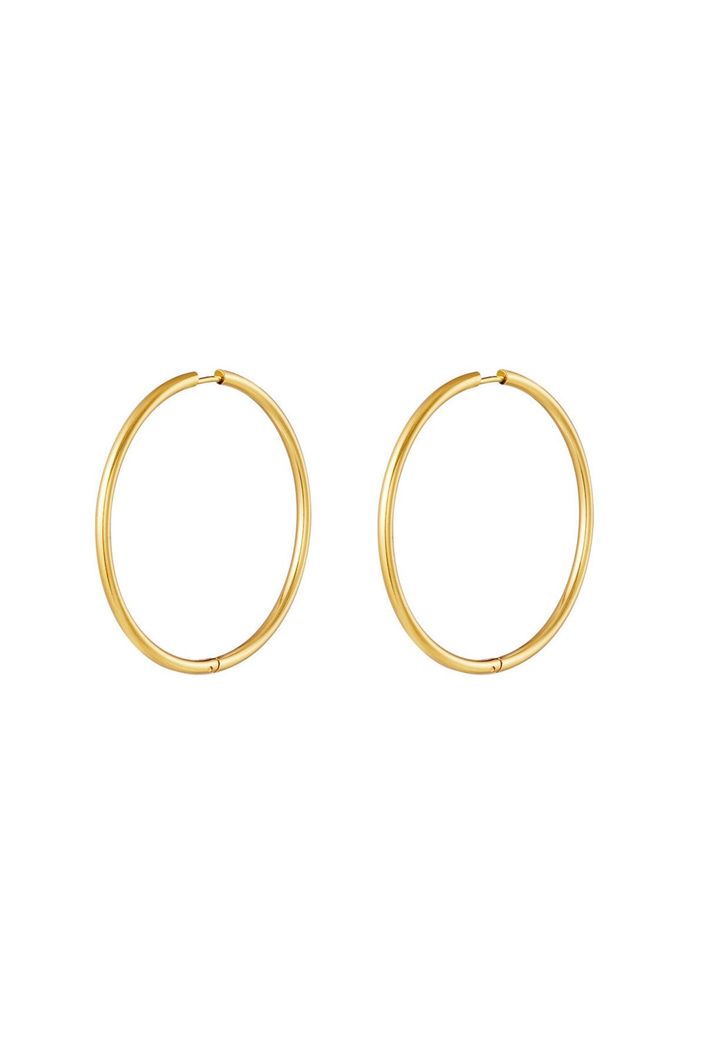 RVS oorbellen hoops medium Goud kleur Stainless Steel