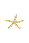 Roestvrijstalen broches met zeester, casual, dagelijks, eenvoudig, serie, damessieraden