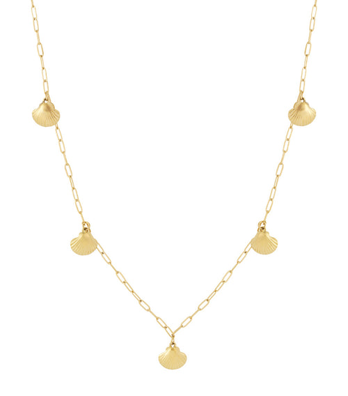Lange schelpketting
